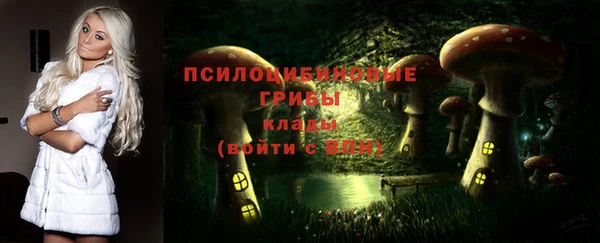 твердый Краснослободск