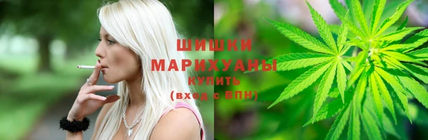 твердый Краснослободск