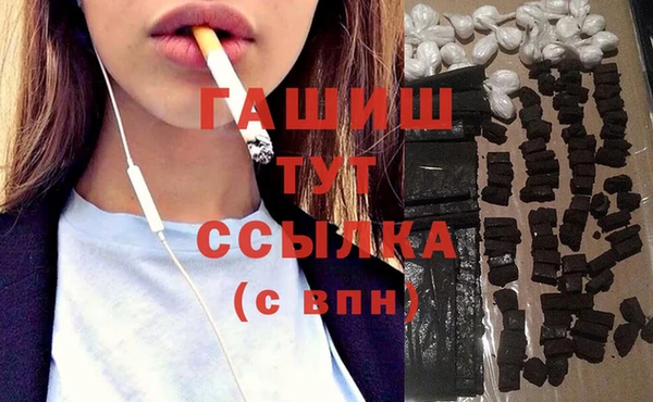 твердый Краснослободск