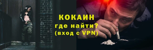 твердый Краснослободск