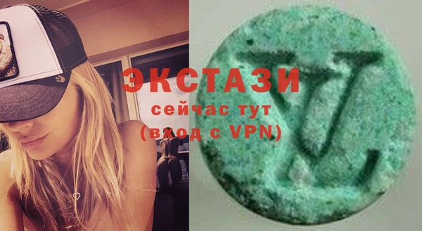 твердый Краснослободск
