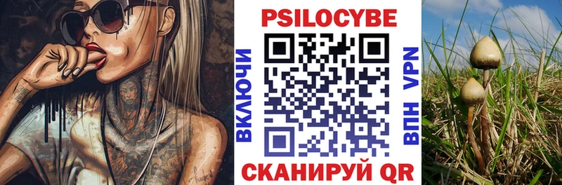 Галлюциногенные грибы мухоморы  купить наркоту  Динская 