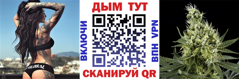 Бошки Шишки гибрид  Динская 